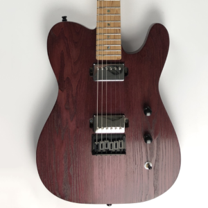 Tempest Custom Shop Guitar