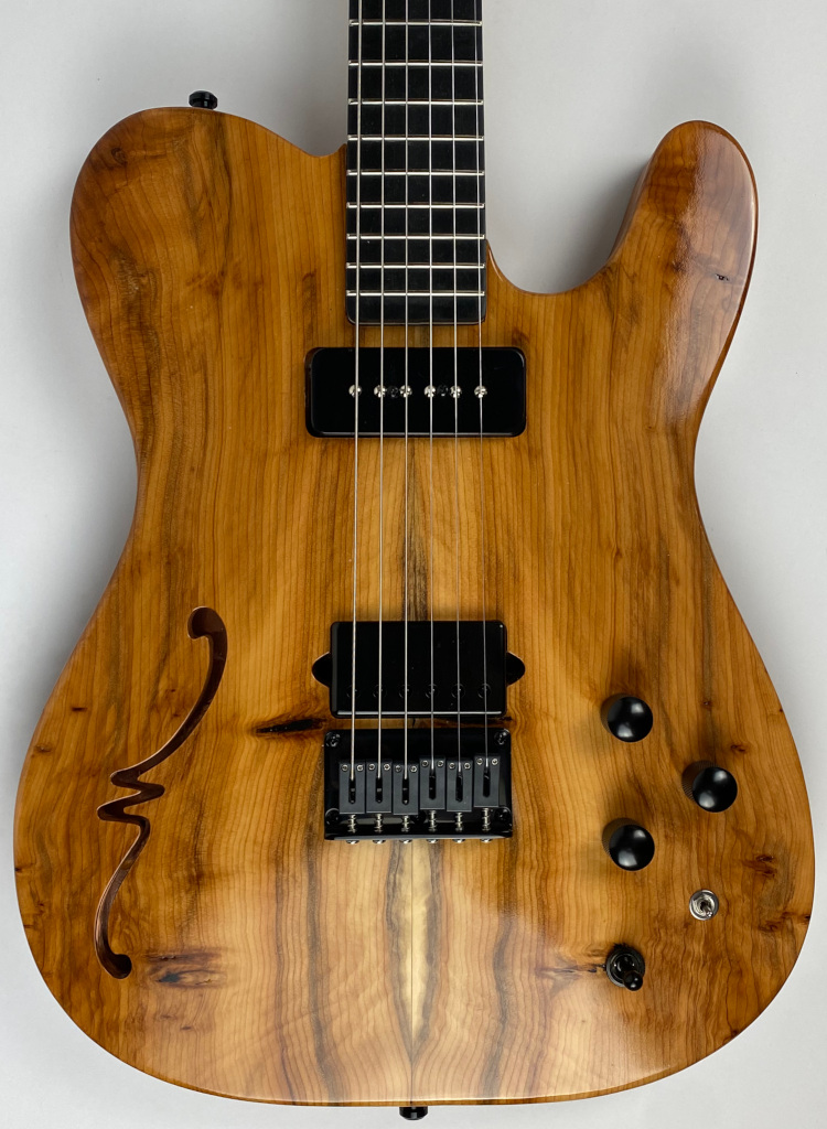 Tempest Custom Shop Guitar